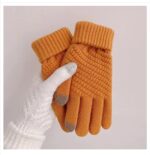 Winter New Pineapple Cashmere Knitted Warm Jacquard fleece-lined Thickened Plush Wool Internet Popular Touch Screen Gloves - Image 3